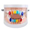 Hip Hop Rainbow Fangs Teeth Grillz Top&Bottom Gold Silver Grills Dental Halloween Vampire Teeth Grillz Set Gifts