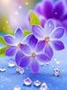 Painting Blooming Cross Flower Diamond Stitch Kits Diy Diamond Mosaic Purple Flower New Arrivals Art Home Decor Handicraf Gift