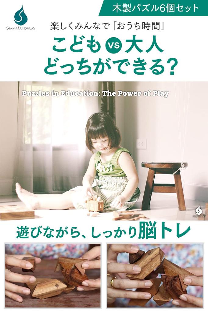 In 5 Minutes To Become the Puzzle Siam Mandalay 3D Puzzle Set of Educational Wooden Wood Magic Kongming Brain Training Cram Unisex [Solve King] 6,