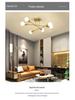 Modern Industrial Multi-Head Wrought Iron Ceiling Light for Living Room or Bedroom