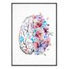 Human Anatomy Organ Poster Brain Heart and Lung Image Wall Art Canvas Painting Medical Room Decorative Print Decoracion Pared