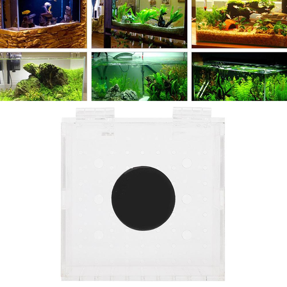 Акриловая магнитная изоляционная коробка для разведения аквариумных рыбок, клетка для инкубатора для маленьких рыбок