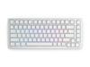 Glorious GMMK ABS Doubleshot V2 USA Base Kit - White, 123 Keycap Set for Mechanical Keyboards, GLO-KC-ABS-USKIT-W KB687