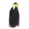 Дешевые 100% человеческие натуральные черные извращенные вьющиеся плетеные волосы