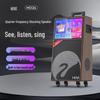 HiVi Portable KTV Karaoke Speaker System