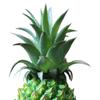 Artificial Pineapple Figurine Pineapple Decor for Bedroom Kids Toys Cabinet