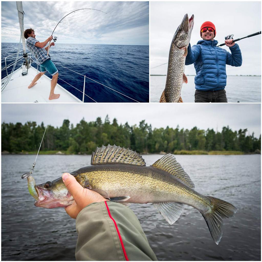 Набор рыболовных снастей LIHAO с и включает набор кейсов, 160 штук вертлюжков, застежек, крючков,