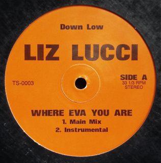 12-дюймовая пластинка LIZ LUCCI Where Eva You Are TS0003 Down Low US Rap HipHopRB Б/у