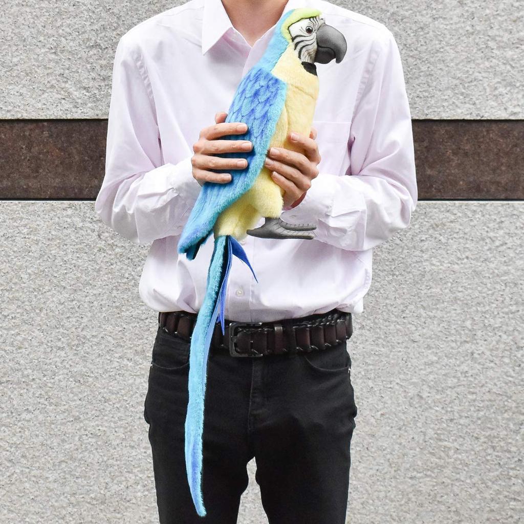 BH3068 HANSA Blue-throated Macaw 72