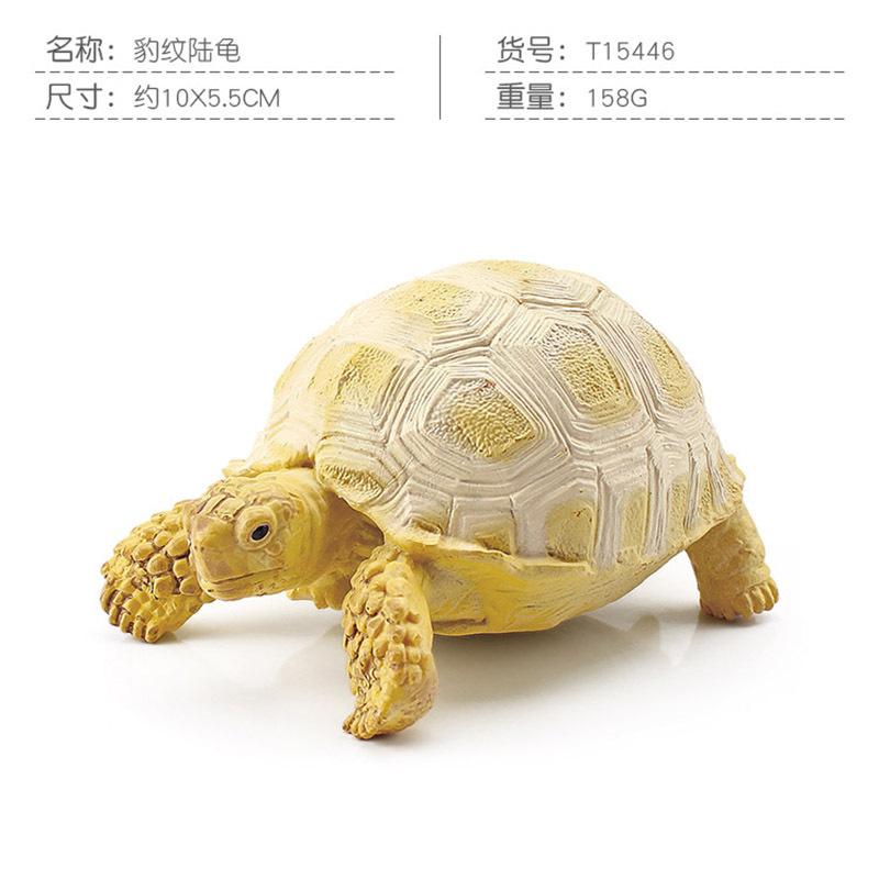 Simulation Amphibian Reptile Model Tortoise Tortoise Star Tortoise Static Decoration Cognitive Ornament Toy