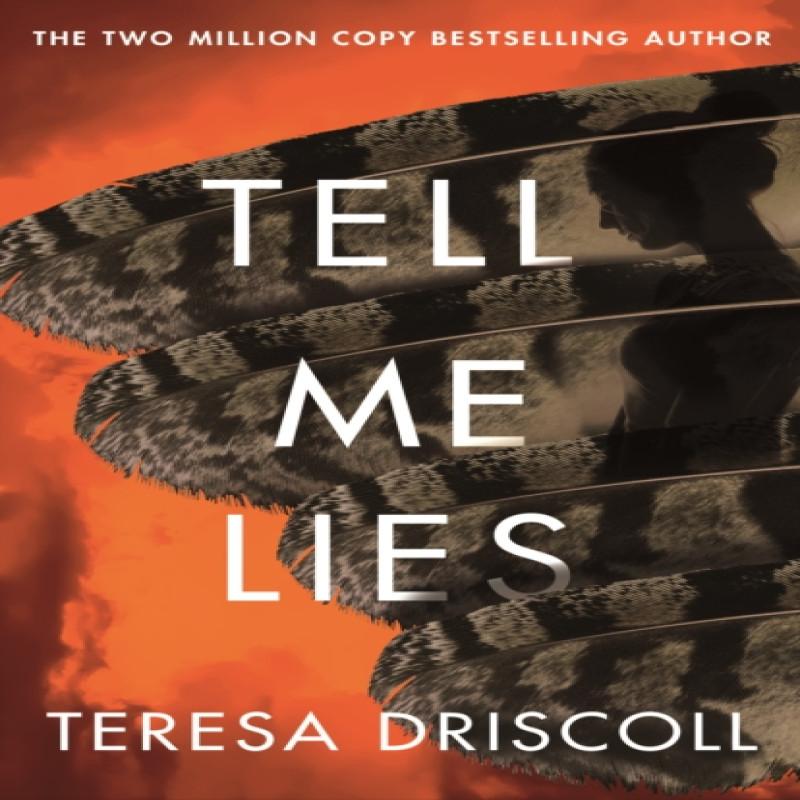 Tell Me Lies by Teresa Driscoll Paperback Book 9781662504983
