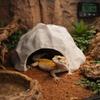 Stable Reptile Habitat Realistic Hidden Cave Shelter  for Lizards Turtles