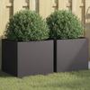 VidaXL Planters 2 Pcs, Flower Boxes, Plant Pots, Window Boxes, Raised Garden Planters, Black 841548