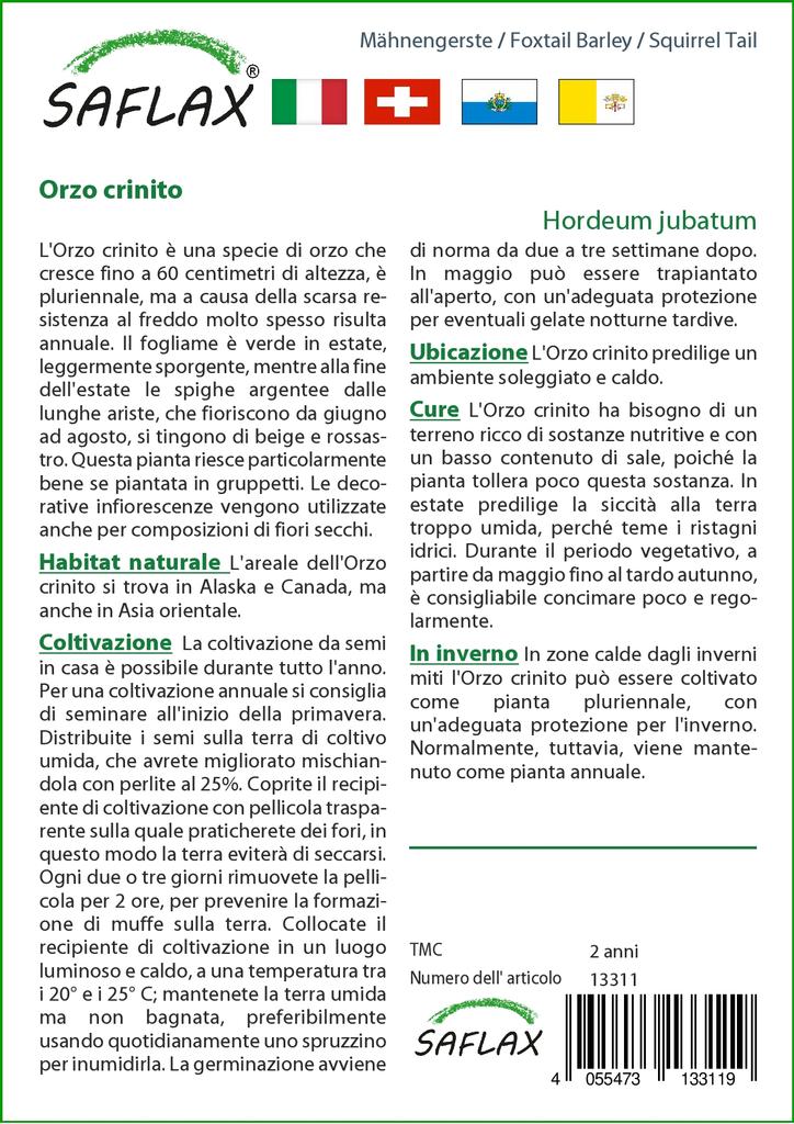 SAFLAX Лисохвост Ячмень / Беличий Хвост - 70 семян - Hordeum jubatum