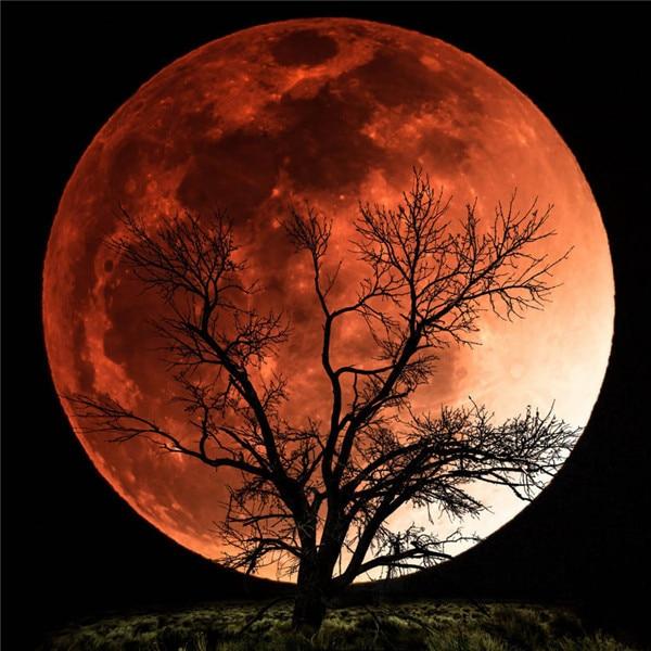 Алмазная картина, новый пейзаж, дерево, 5D DIY, Алмазная вышивка, распродажа, Луна, картины из стразов, мозаика, домашний декор