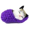 Sounds Sleeping Kitten Toy Slipper Sleeping Cat Simulation Sleeping Cats Mini Kittens in Shoes