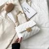 Square Buckle Embroidered Bag Womn Women's Bag Bag Women's Fashion Shoulder Bag