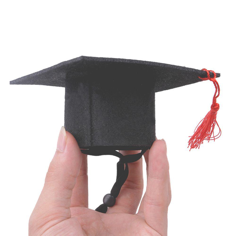 Graduation Hat for Small Pets - Black