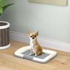 Dog Toilet Tray for Training Dogs, Dog Litter Tray for Indoor, Outdoor, 47 x 34 x 6cm