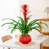 Самополивающиеся гидропонные растения горшок пластиковый офис бонсай декор