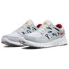 Nike Free Run 2 'Белый Ущелье Зеленый Киноварь' 537732-102 Мужские