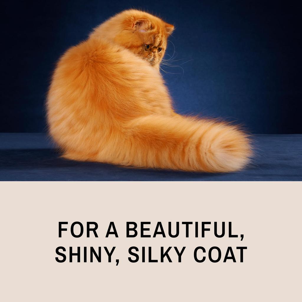 Eye Envy ProGlide Cat Comb for Long Haired Cats Comb Removes Undercoat and Excess Hair Removes Tangles and Knots Prevents Mat Fur Dual Tooth Comb