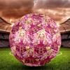 Barbie Print Size 5 Soccer Ball, Standard Match Football for Sports Game and Team Practice, Ideal Gift for Soccer Fans