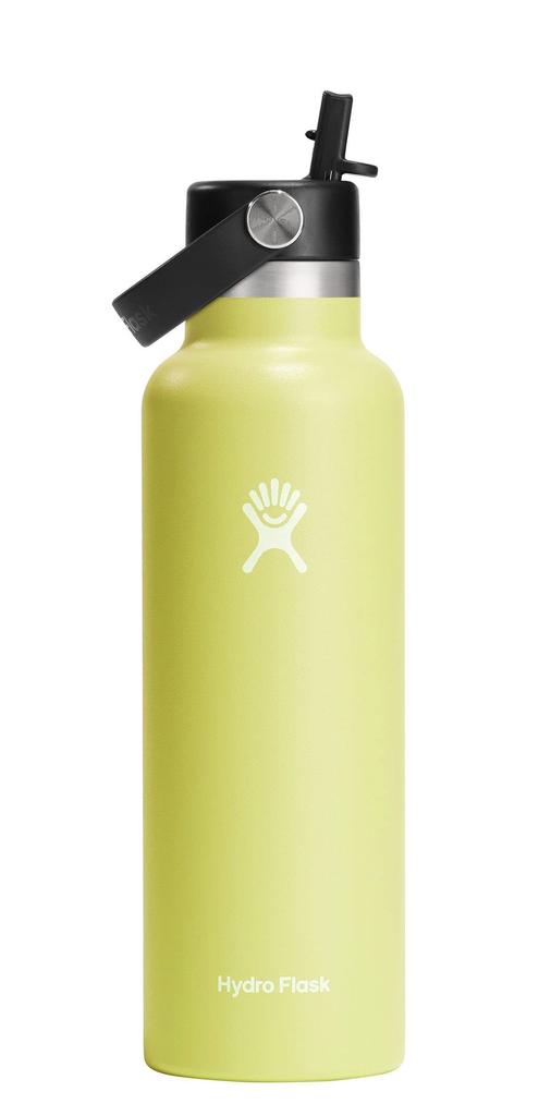 Hydro Flask Hydration 21oz (621ml) Standard Mouth Flex Straw Cactus