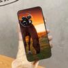 Чехол Животное Лошадь Для OnePlus 15 15R 13 13R 13T 12 12R 11 10 10R 10T 8T Nord 5 CE 4 2 3 Lite N20 N30 Обложка