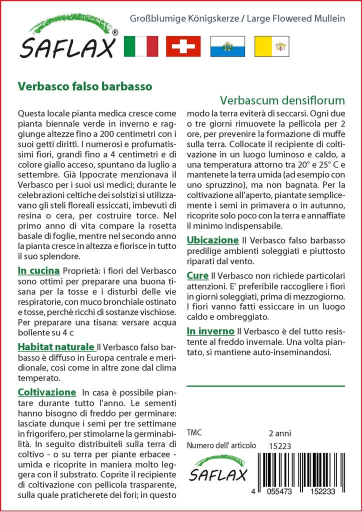 SAFLAX Garden in the Bag - Коровяк крупноцветковый - 500 семян - С субстратом в подходящем мешке - Verbascum densiflorum