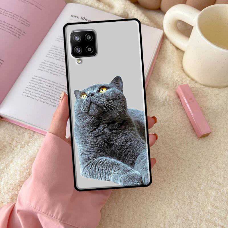 Кот Британская короткошерстная Для Samsung Galaxy A56 A54 A34 A14 A06 A16 A26 A36 A12 A32 A52 A13 A33 A53 A15 A35 A55 Чехол