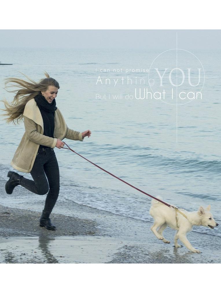 PETBABA Dog Lead Leather Lead Bull Leather Medium Large Dog Lead Genuine Leather Lead Durable Easy To Use Pet Supplies 1.8m Walking/Training/Training