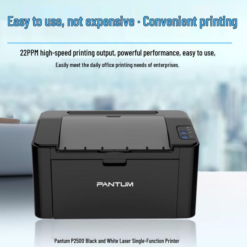 Pantum P2500 Compact Mono Laser Printer