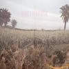 CD ODAWAS - The Blue Depths JAG138 Jagjaguwar 2009 US Rock Used