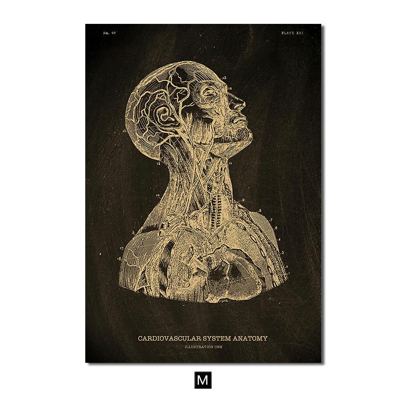 Анатомия человека, винтажный постер, скандинавский холст, художественный принт, золотой скелет, органы, живопись, настенные панно, медицинский домашний декор