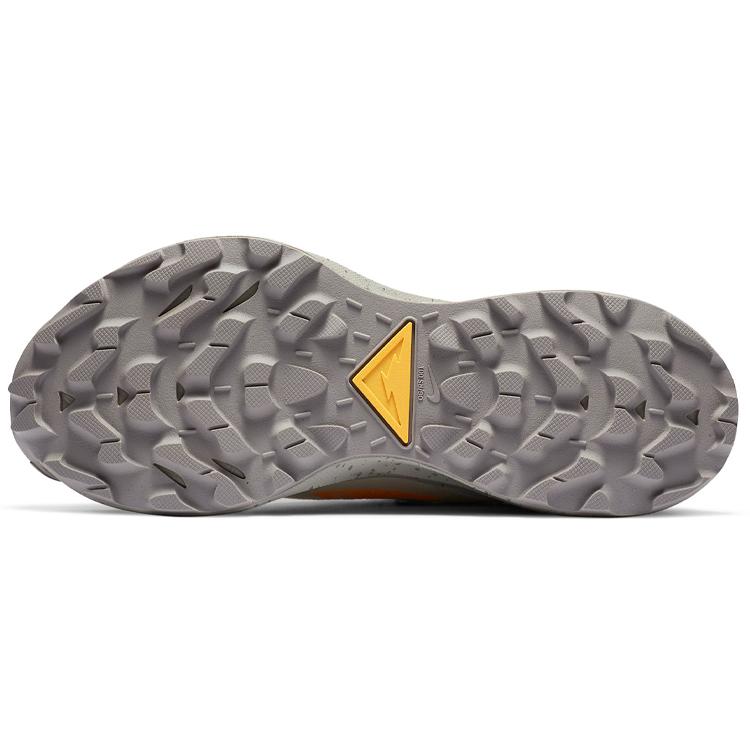 Nike Pegasus Trail 2 Платиновый Ископаемый Лазерно-Оранжевый Женские CK4309-001