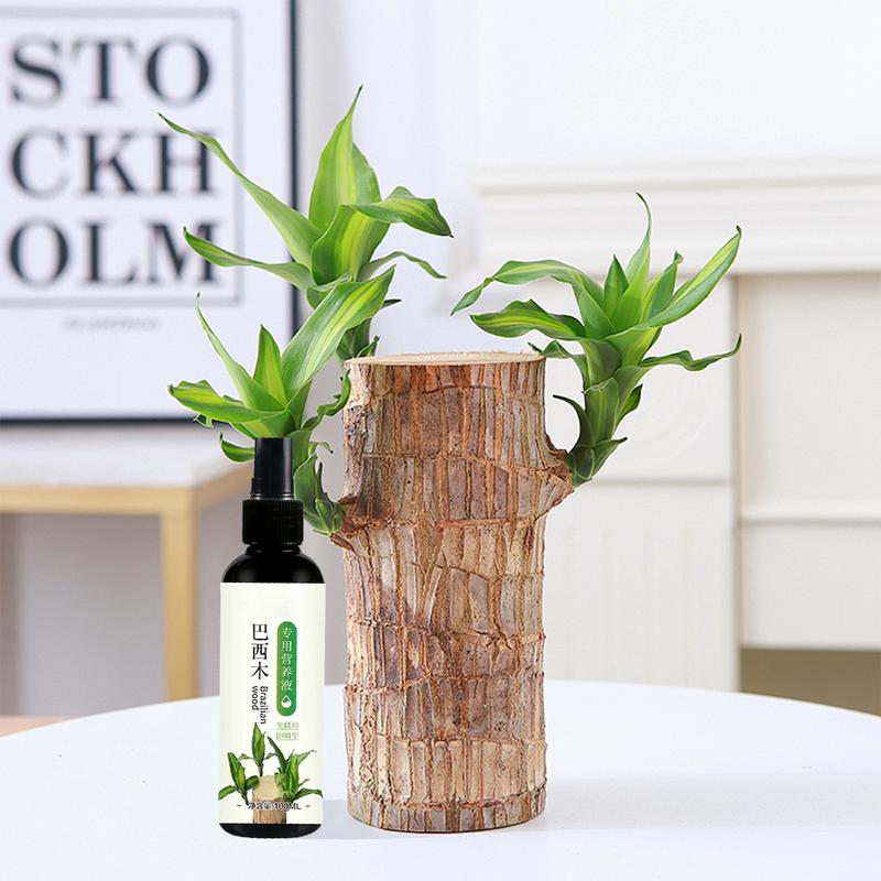 Удобрение для комнатных растений из бразильского дерева 100 мл для Lucky Wood Удобрение для комнатных растений из бразильского дерева