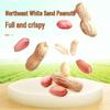 Walong Seaweed Flavor Fish Skin Peanuts 480g