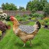 Adjustable Hen Apron Double-Layer Poultry Apron Chicken Back Protector  Cold Weather