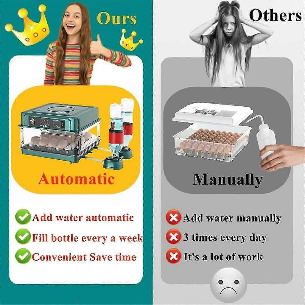 Automatic Egg Incubator with Temperature Control AU Plug