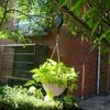 Heavy-Duty Plant Hook Pulleys Bird Cages Hanging Flower Basket Hook Hanging Plants Plant Hangers