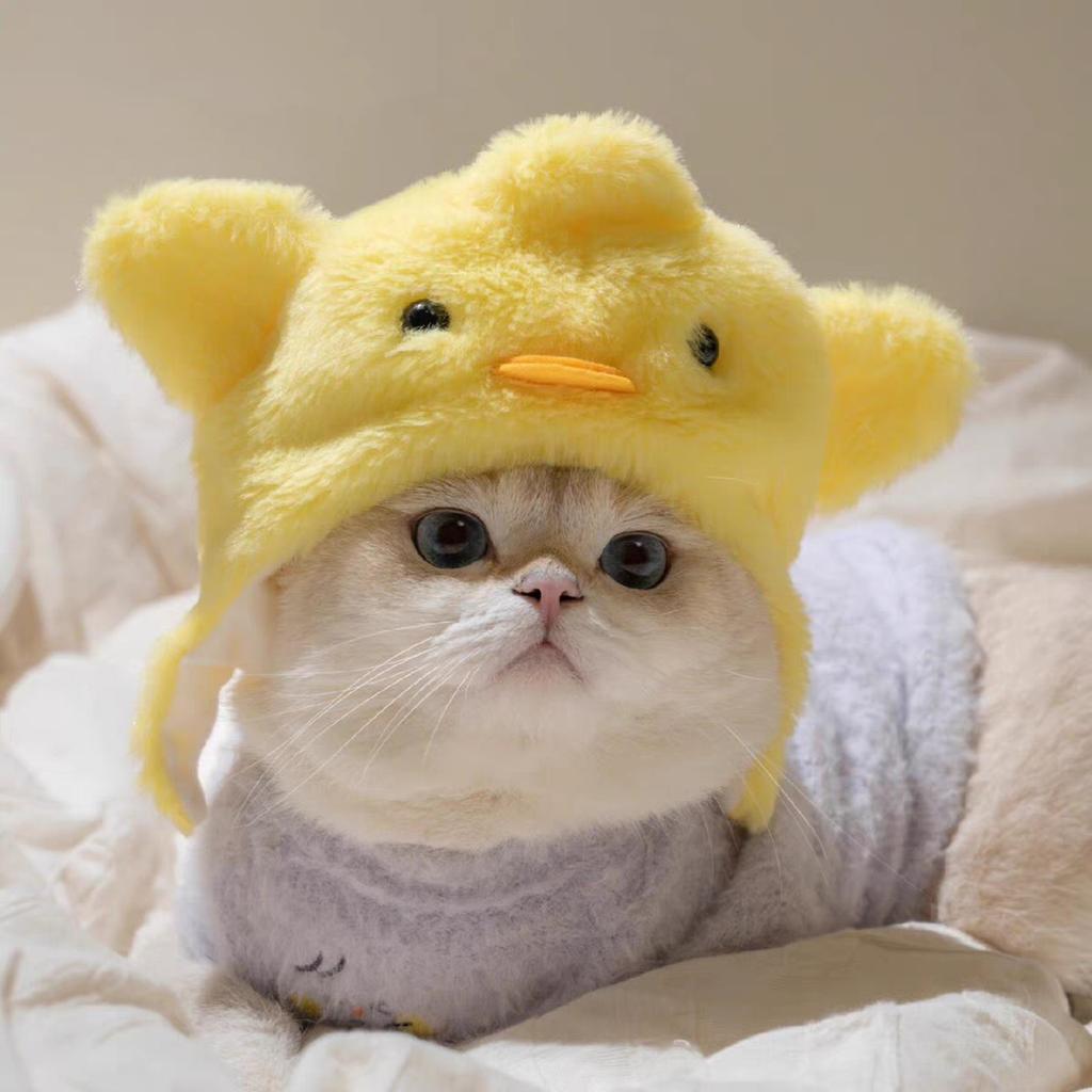 Украшение для питомца головной убор плюшевый щенок собака кошка милее чем медведь фото головной убор смешной