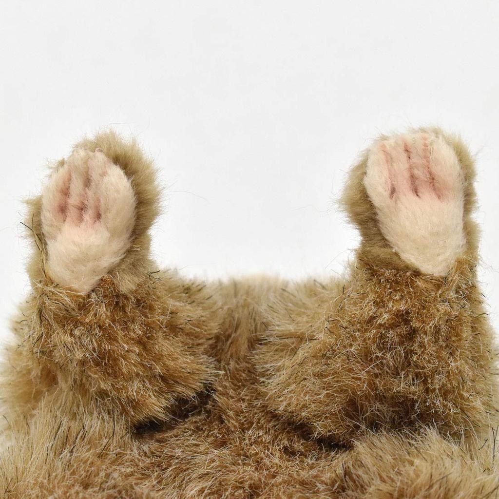 Pygmy Marmoset No.4688