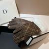 Wool And Fleece Thermal Touch Screen Gloves, Winter Outdoor Riding Windproof Gloves, Fashionable And Elegant Plush