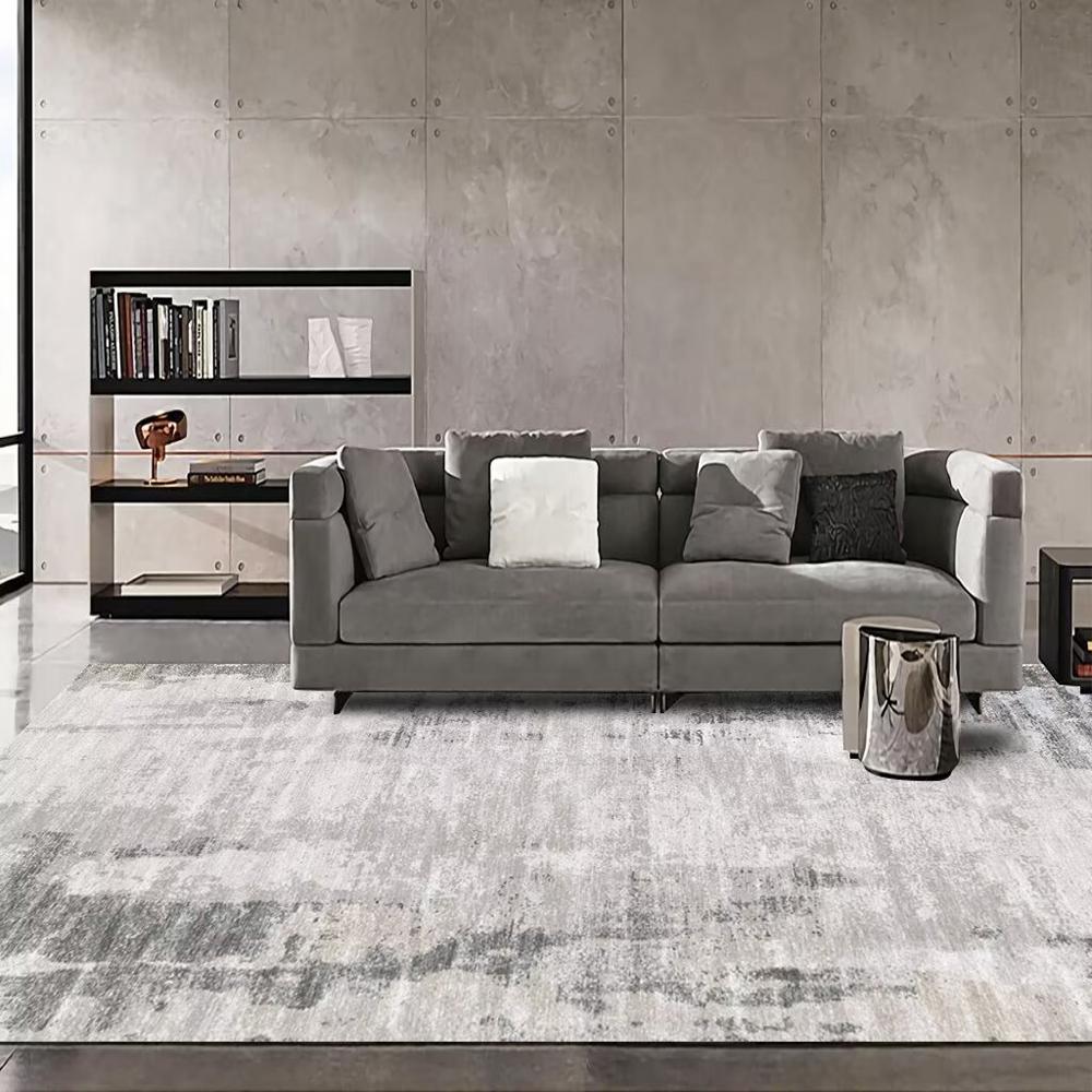Nordic Abstract Carpet Living Room Decor Grey Rugs for Bedroom 200x300 Lounge Coffee Tables Mat Anti Slip Washable Entrance Mats