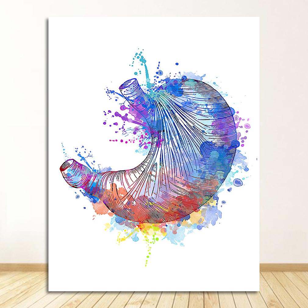 Breast Wall Art Canvas Painting Nordic Posters And Prints Wall Pictures Doctors Office Decor Colorful Anatomy Brain Heart kidney