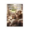 Настенный календарь на 2026 год, Календарь на забавную тему, Забавный подарок для общения, Идеальный выбор для домашнего использования.