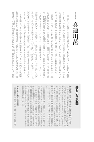 Kitsuregawa Domain (Series: Domain Stories)