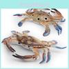Large Pvc Marine Animal Model Crab Aquarium Ornament For Marine Life Decor