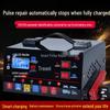 12V/24V High Power Intelligent Car & Motorcycle Battery Charger with Pure Copper Repair
